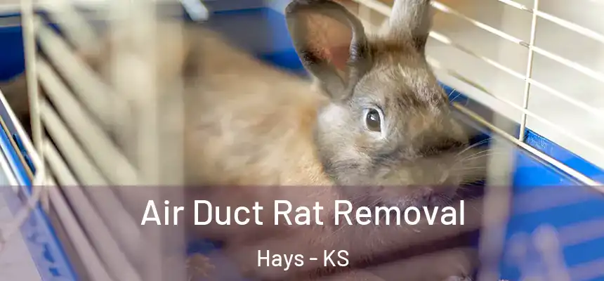  Air Duct Rat Removal Hays - KS
