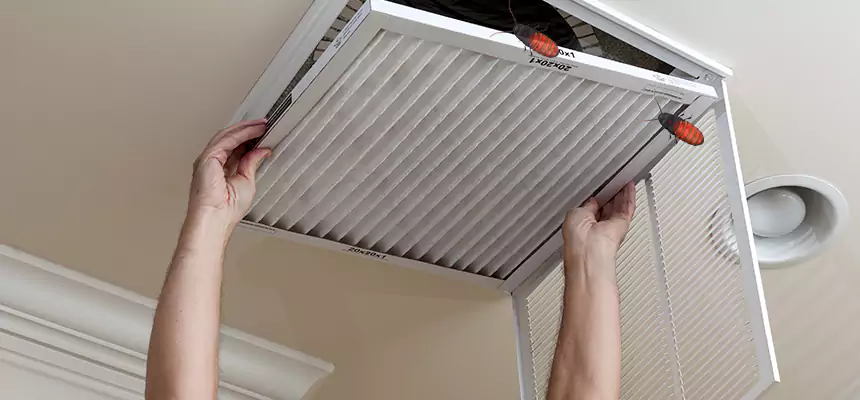 Preventive Cockroach-Proofing for Ducts in Hays