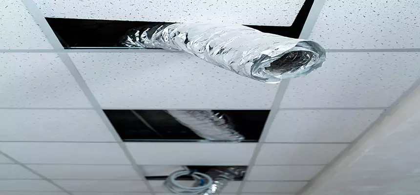 Affordable HVAC Sanitizing After Pest Removal in Hays