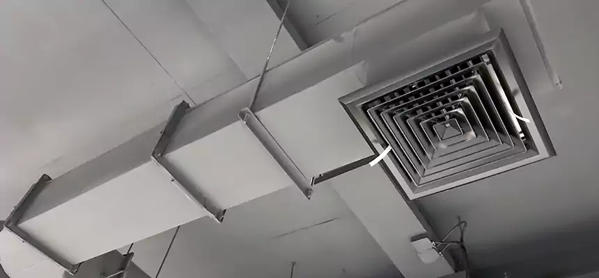 Our Pest Removal From Ducts Services in Hays, KS