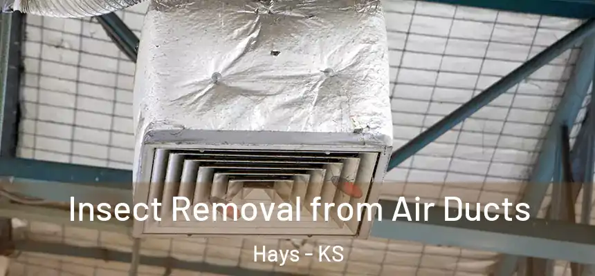  Insect Removal from Air Ducts Hays - KS