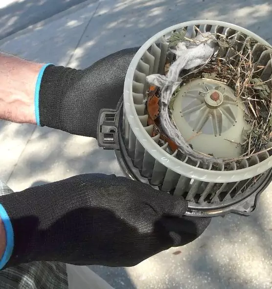 About Air Duct Mice Removal in Hays, KS