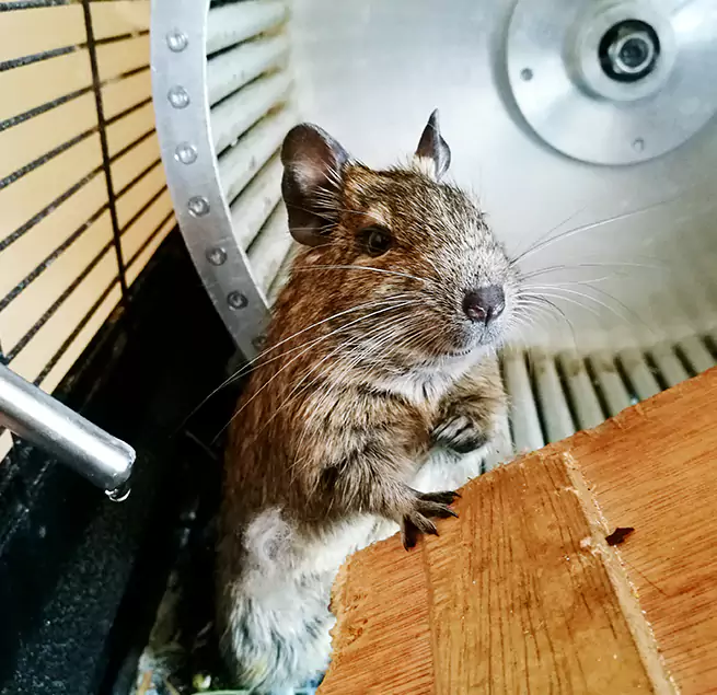 Why Homeowners & Businesses Trust Us Hays, KS?